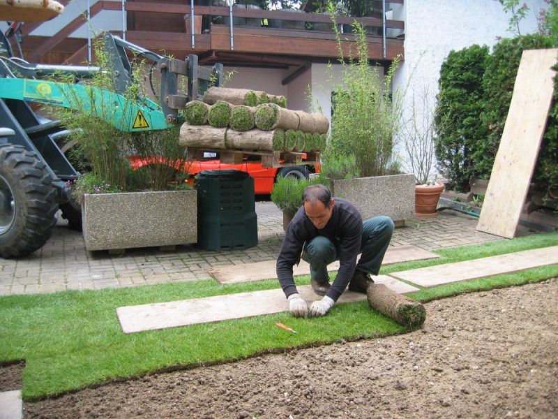 Gartenbau in Arlesheim - Rollrasen – Gartengestaltung im Handumdrehen